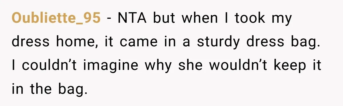 Oubliette_95 − NTA but when I took my dress home, it came in a sturdy dress bag. I couldn’t imagine why she wouldn’t keep it in the bag.