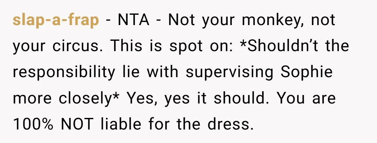 slap-a-frap − NTA - Not your monkey, not your circus. This is spot on: *Shouldn’t the responsibility lie with supervising Sophie more closely* Yes, yes it should. You are 100%...