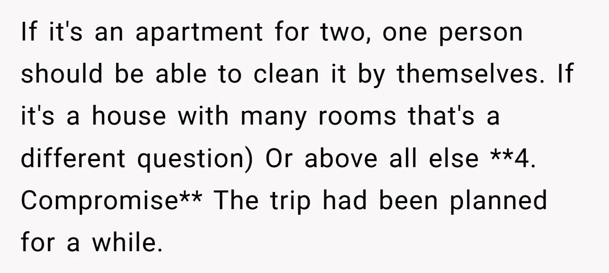 If it's an apartment for two, one person should be able to clean it by themselves. If it's a house with many rooms that's a different question) Or above all...