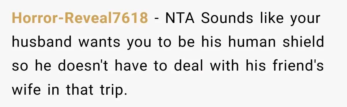 Horror-Reveal7618 − NTA Sounds like your husband wants you to be his human shield so he doesn't have to deal with his friend's wife in that trip.