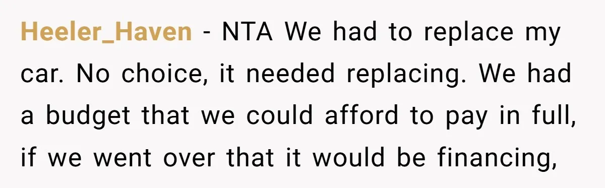 Heeler_Haven − NTA We had to replace my car. No choice, it needed replacing. We had a budget that we could afford to pay in full, if we went over...