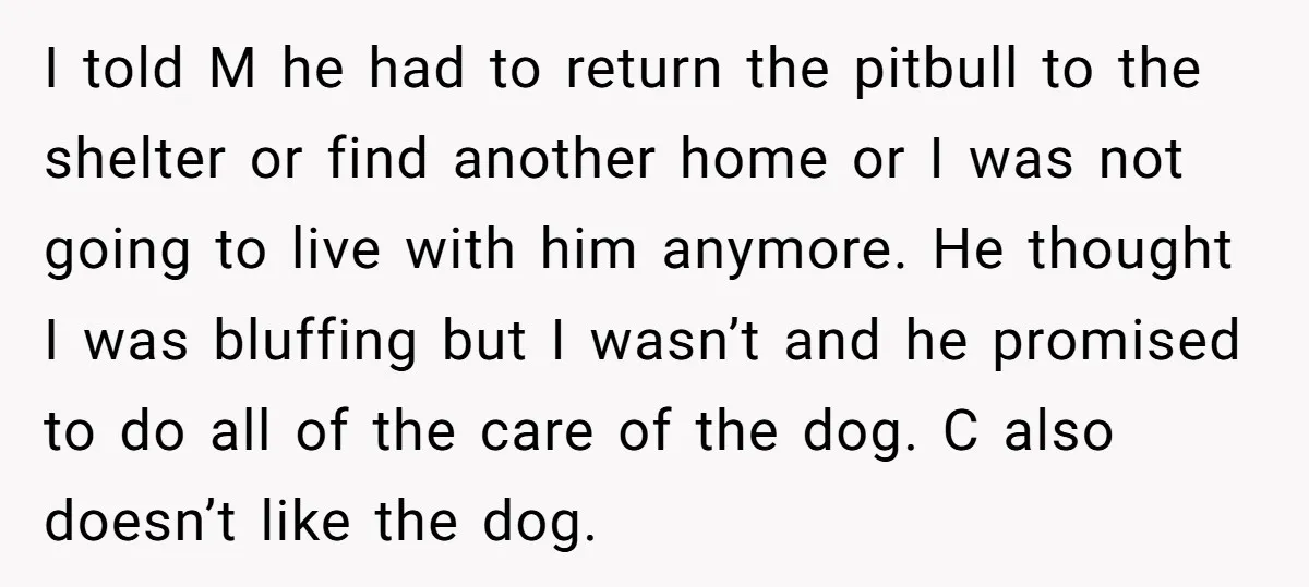 I told M he had to return the pitbull to the shelter or find another home or I was not going to live with him anymore. He thought I was...