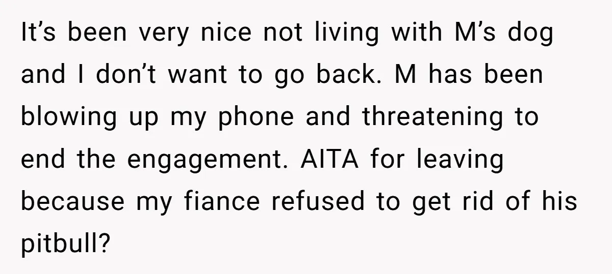 It’s been very nice not living with M’s dog and I don’t want to go back. M has been blowing up my phone and threatening to end the engagement. AITA...