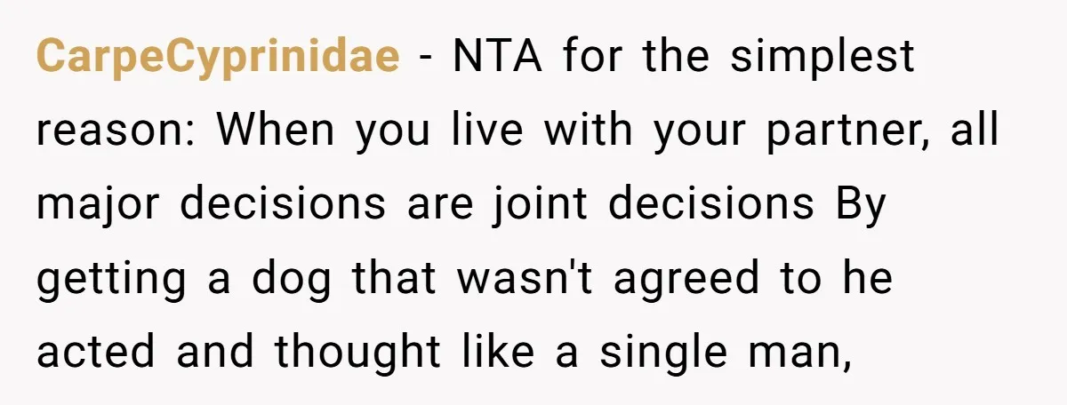 CarpeCyprinidae − NTA for the simplest reason: When you live with your partner, all major decisions are joint decisions By getting a dog that wasn't agreed to he acted and...