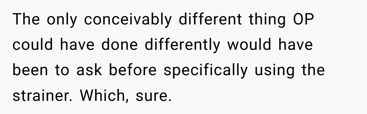 The only conceivably different thing OP could have done differently would have been to ask before specifically using the strainer. Which, sure.