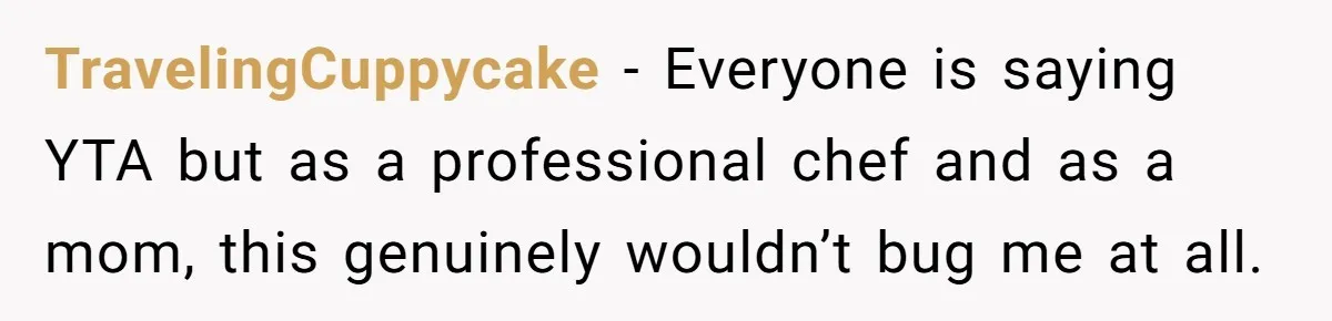 TravelingCuppycake − Everyone is saying YTA but as a professional chef and as a mom, this genuinely wouldn’t bug me at all.