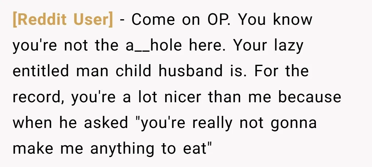 [Reddit User] − Come on OP. You know you're not the a__hole here. Your lazy entitled man child husband is. For the record, you're a lot nicer than me because...