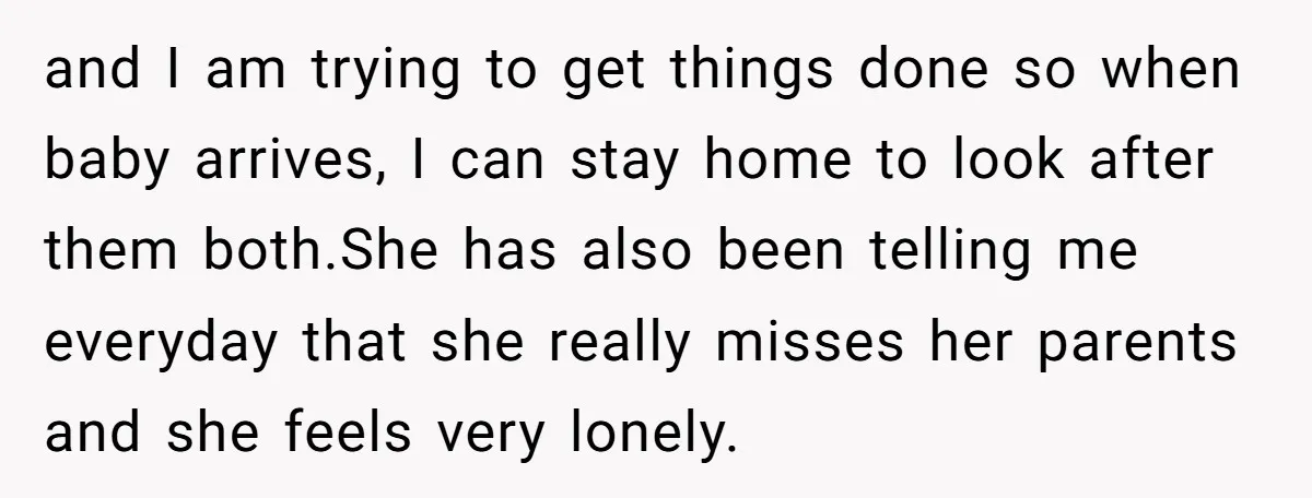 and I am trying to get things done so when baby arrives, I can stay home to look after them both.She has also been telling me everyday that she really...