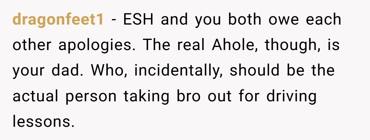 dragonfeet1 − ESH and you both owe each other apologies. The real Ahole, though, is your dad. Who, incidentally, should be the actual person taking bro out for driving lessons.