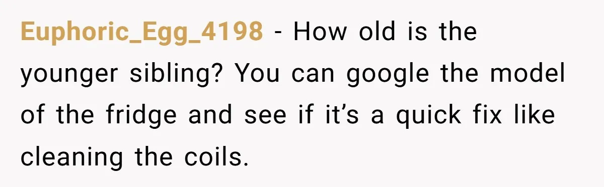 Euphoric_Egg_4198 − How old is the younger sibling? You can google the model of the fridge and see if it’s a quick fix like cleaning the coils.