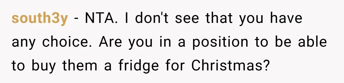 south3y − NTA. I don't see that you have any choice. Are you in a position to be able to buy them a fridge for Christmas?