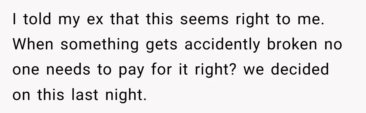 I told my ex that this seems right to me. When something gets accidently broken no one needs to pay for it right? we decided on this last night.