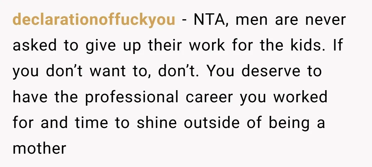 declarationoffuckyou − NTA, men are never asked to give up their work for the kids. If you don’t want to, don’t. You deserve to have the professional career you worked...