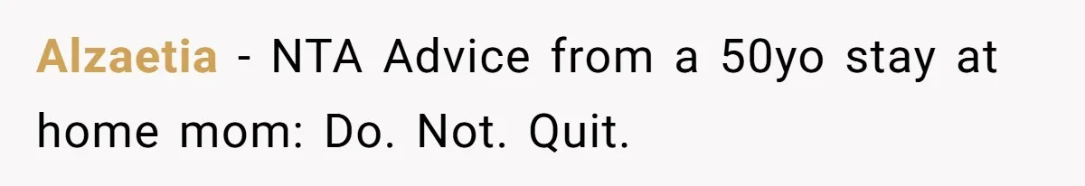 Alzaetia − NTA Advice from a 50yo stay at home mom: Do. Not. Quit.