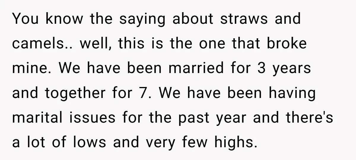 You know the saying about straws and camels.. well, this is the one that broke mine. We have been married for 3 years and together for 7. We have been...