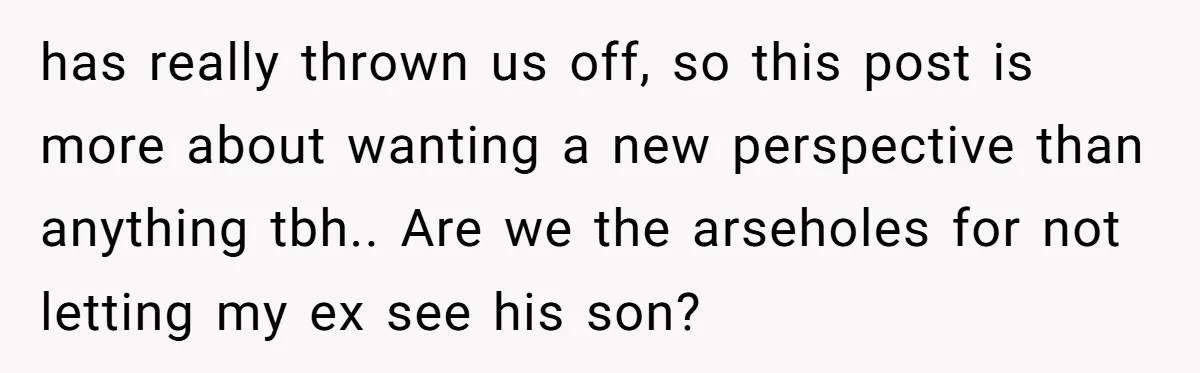has really thrown us off, so this post is more about wanting a new perspective than anything tbh.. Are we the arseholes for not letting my ex see his son?