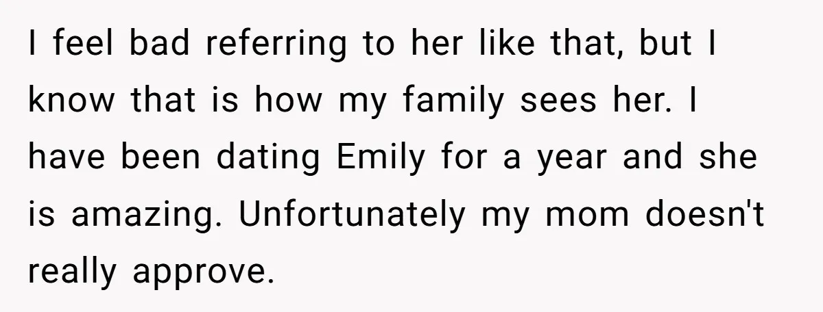 I feel bad referring to her like that, but I know that is how my family sees her. I have been dating Emily for a year and she is amazing....