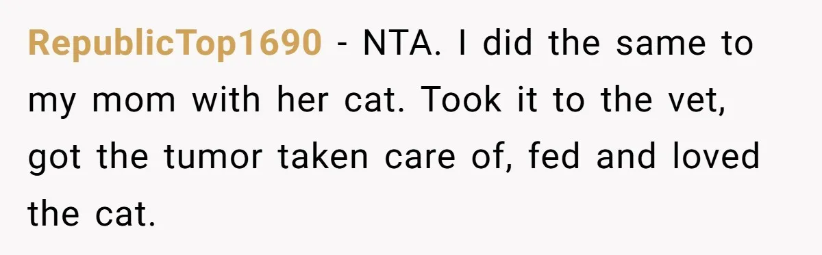 RepublicTop1690 − NTA. I did the same to my mom with her cat. Took it to the vet, got the tumor taken care of, fed and loved the cat.
