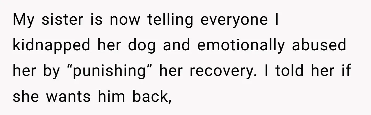 My sister is now telling everyone I kidnapped her dog and emotionally abused her by “punishing” her recovery. I told her if she wants him back,