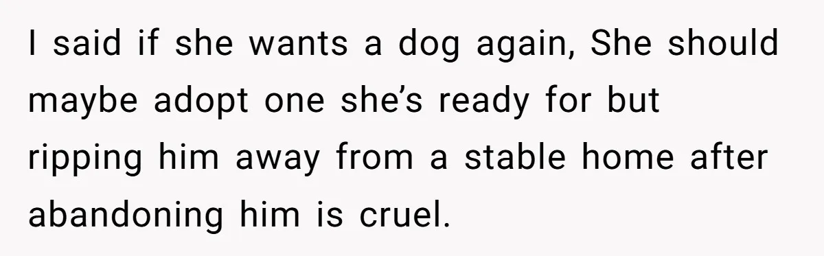 I said if she wants a dog again, She should maybe adopt one she’s ready for but ripping him away from a stable home after abandoning him is cruel.