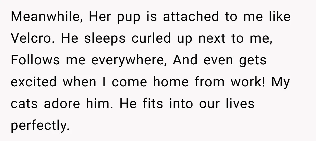 Meanwhile, Her pup is attached to me like Velcro. He sleeps curled up next to me, Follows me everywhere, And even gets excited when I come home from work! My...