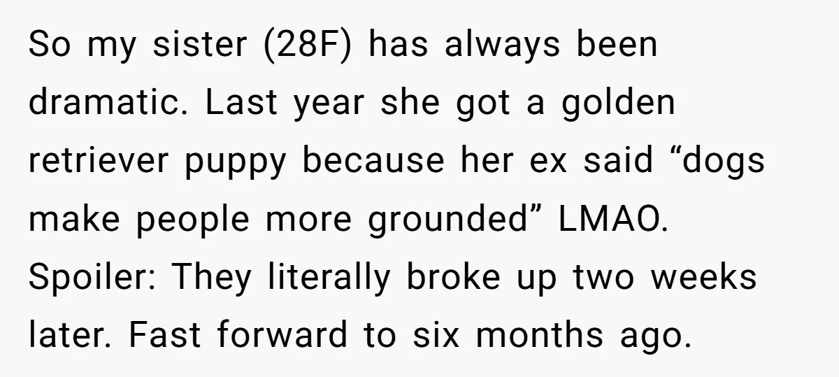 So my sister (28F) has always been dramatic. Last year she got a golden retriever puppy because her ex said “dogs make people more grounded” LMAO. Spoiler: They literally broke...