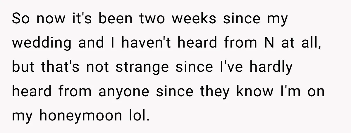 So now it's been two weeks since my wedding and I haven't heard from N at all, but that's not strange since I've hardly heard from anyone since they know...