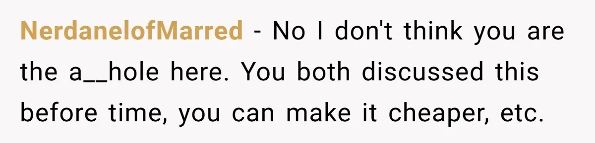NerdanelofMarred − No I don't think you are the a__hole here. You both discussed this before time, you can make it cheaper, etc.