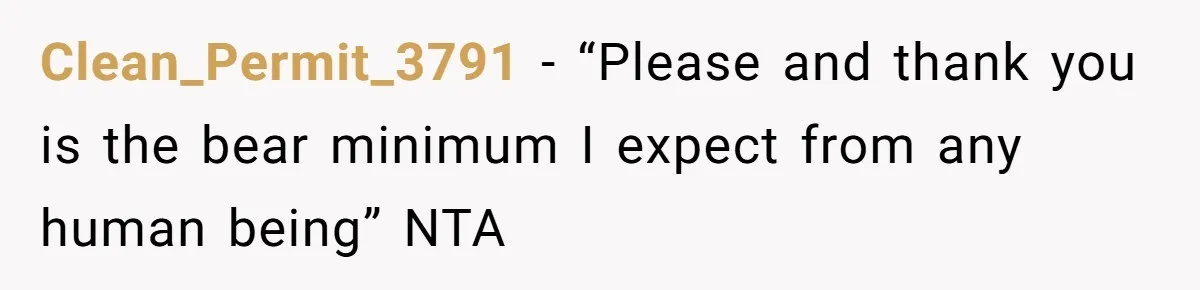 Clean_Permit_3791 − “Please and thank you is the bear minimum I expect from any human being” NTA