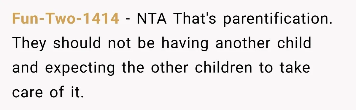 Fun-Two-1414 − NTA That's parentification. They should not be having another child and expecting the other children to take care of it.
