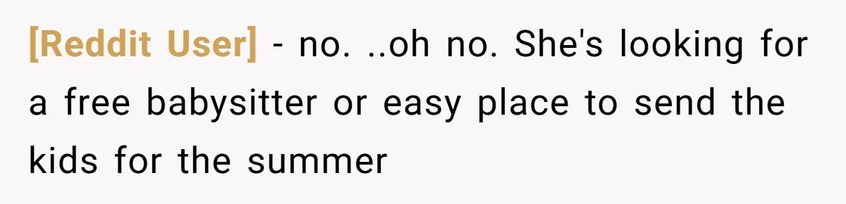 [Reddit User] − no. ..oh no. She's looking for a free babysitter or easy place to send the kids for the summer