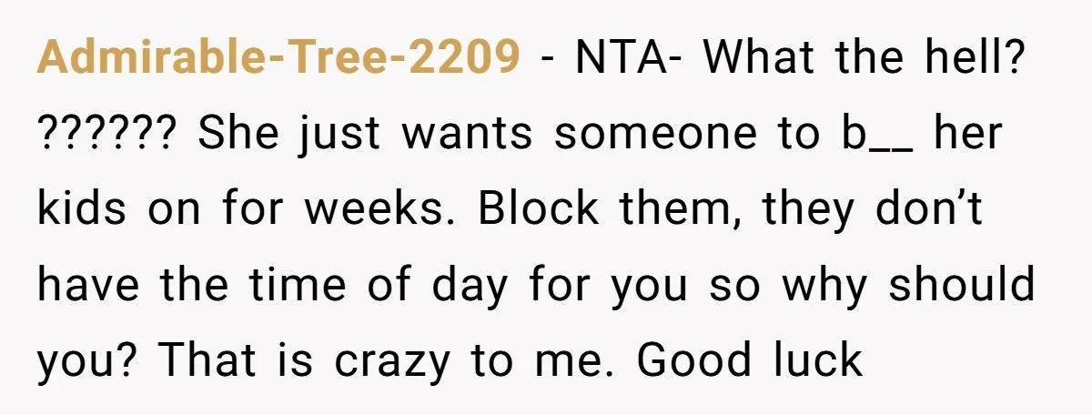 Admirable-Tree-2209 − NTA- What the hell? ?????? She just wants someone to b__ her kids on for weeks. Block them, they don’t have the time of day for you so...