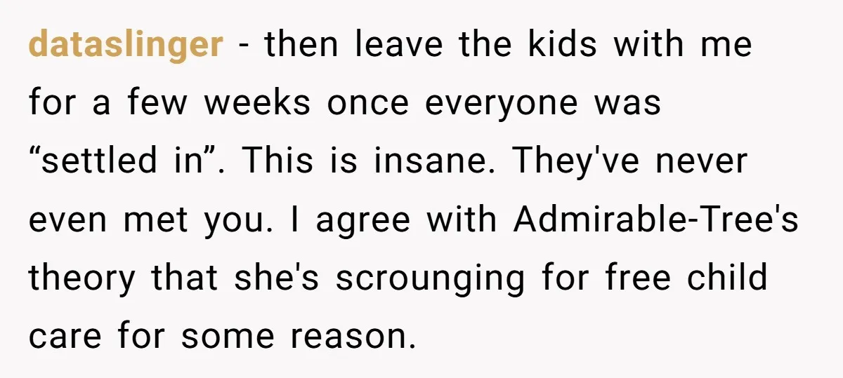 dataslinger − then leave the kids with me for a few weeks once everyone was “settled in”. This is insane. They've never even met you. I agree with Admirable-Tree's theory...