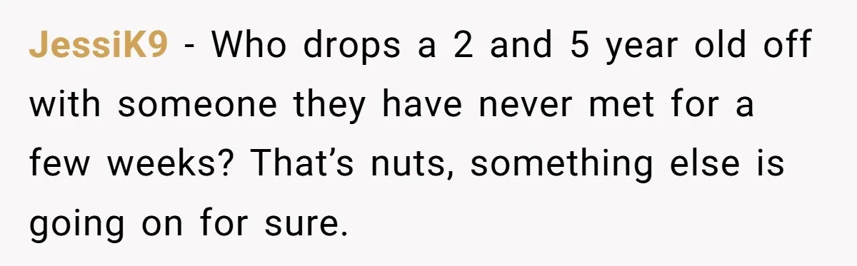 JessiK9 − Who drops a 2 and 5 year old off with someone they have never met for a few weeks? That’s nuts, something else is going on for sure.