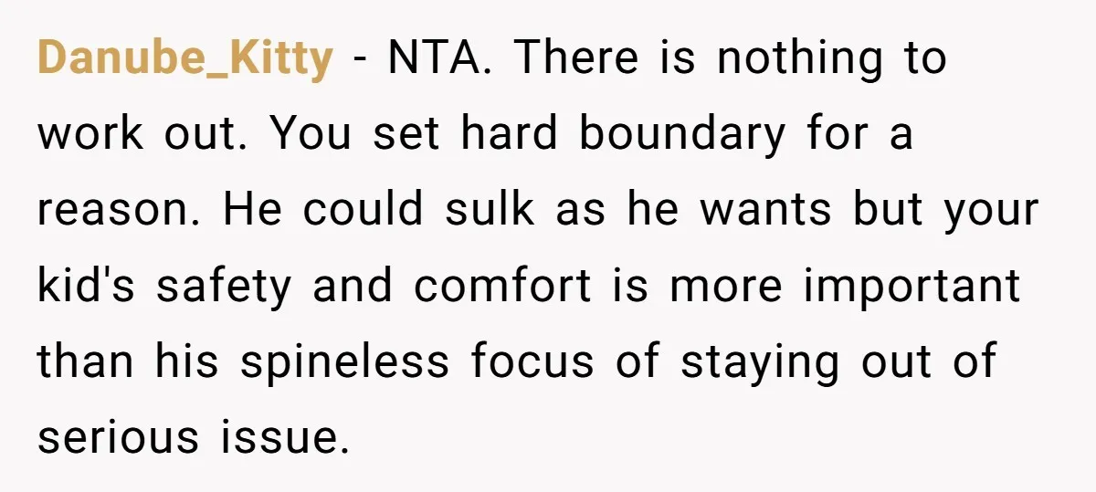 Danube_Kitty − NTA. There is nothing to work out. You set hard boundary for a reason. He could sulk as he wants but your kid's safety and comfort is more...