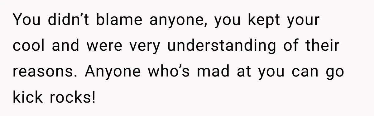 You didn’t blame anyone, you kept your cool and were very understanding of their reasons. Anyone who’s mad at you can go kick rocks!
