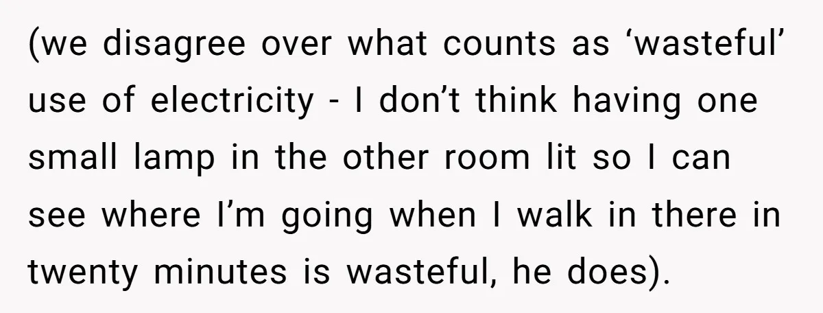 (we disagree over what counts as ‘wasteful’ use of electricity - I don’t think having one small lamp in the other room lit so I can see where I’m going...