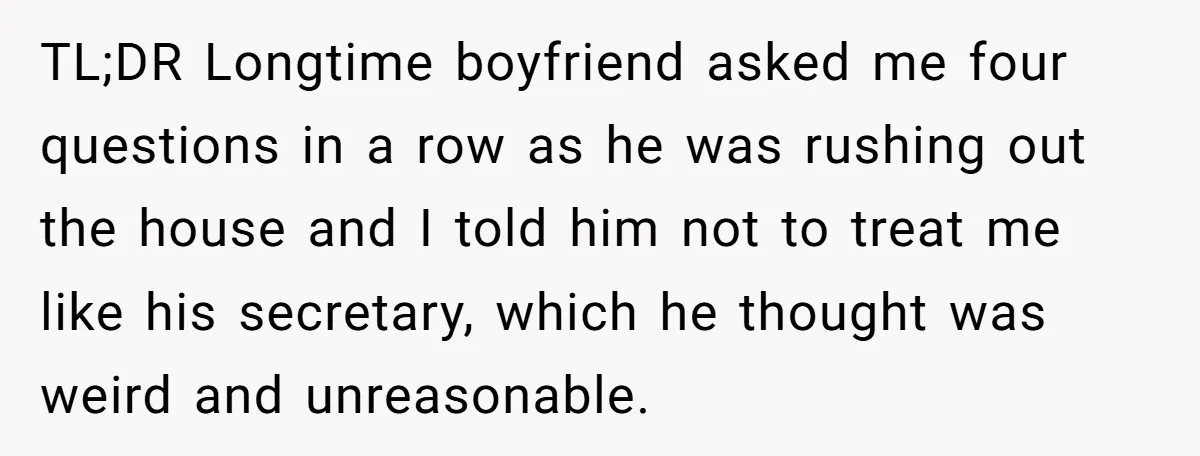 TL;DR Longtime boyfriend asked me four questions in a row as he was rushing out the house and I told him not to treat me like his secretary, which he...