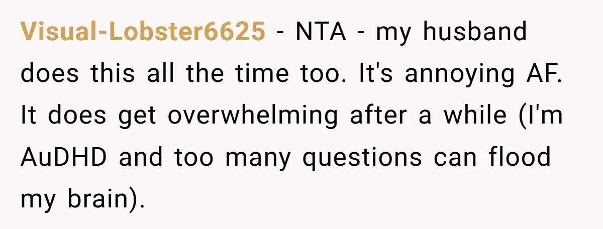 Visual-Lobster6625 − NTA - my husband does this all the time too. It's annoying AF. It does get overwhelming after a while (I'm AuDHD and too many questions can flood...