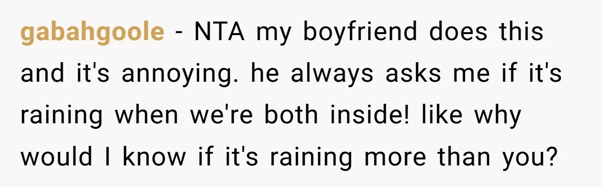gabahgoole − NTA my boyfriend does this and it's annoying. he always asks me if it's raining when we're both inside! like why would I know if it's raining more...