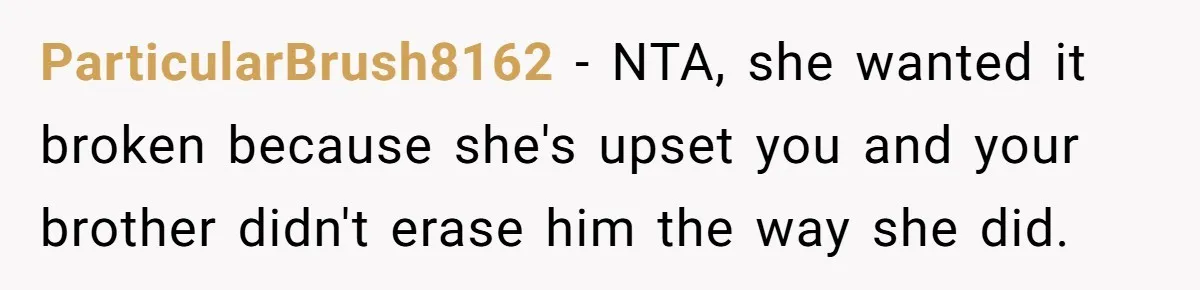 ParticularBrush8162 − NTA, she wanted it broken because she's upset you and your brother didn't erase him the way she did.