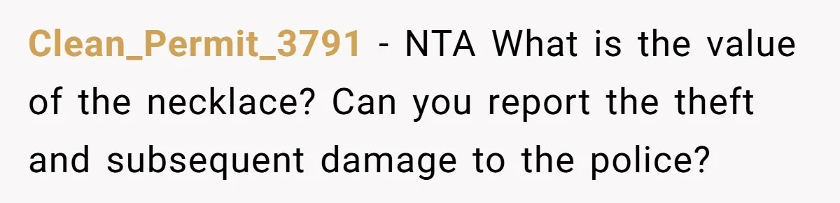 Clean_Permit_3791 − NTA What is the value of the necklace? Can you report the theft and subsequent damage to the police?