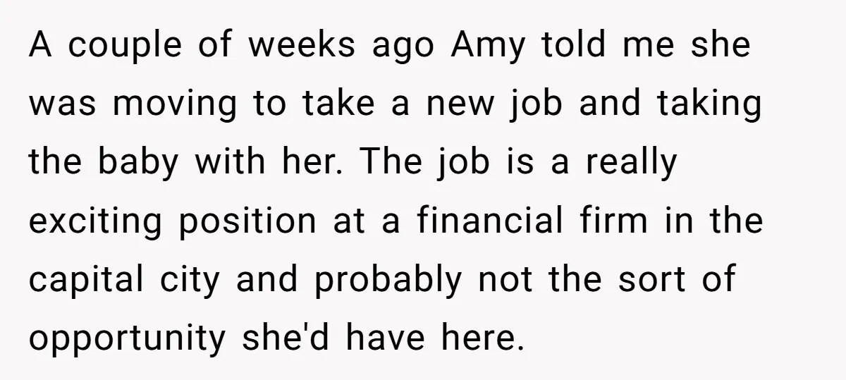 A couple of weeks ago Amy told me she was moving to take a new job and taking the baby with her. The job is a really exciting position at...