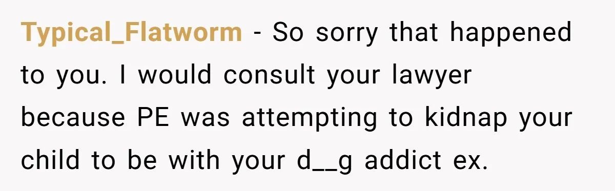 Typical_Flatworm − So sorry that happened to you. I would consult your lawyer because PE was attempting to kidnap your child to be with your d__g addict ex.