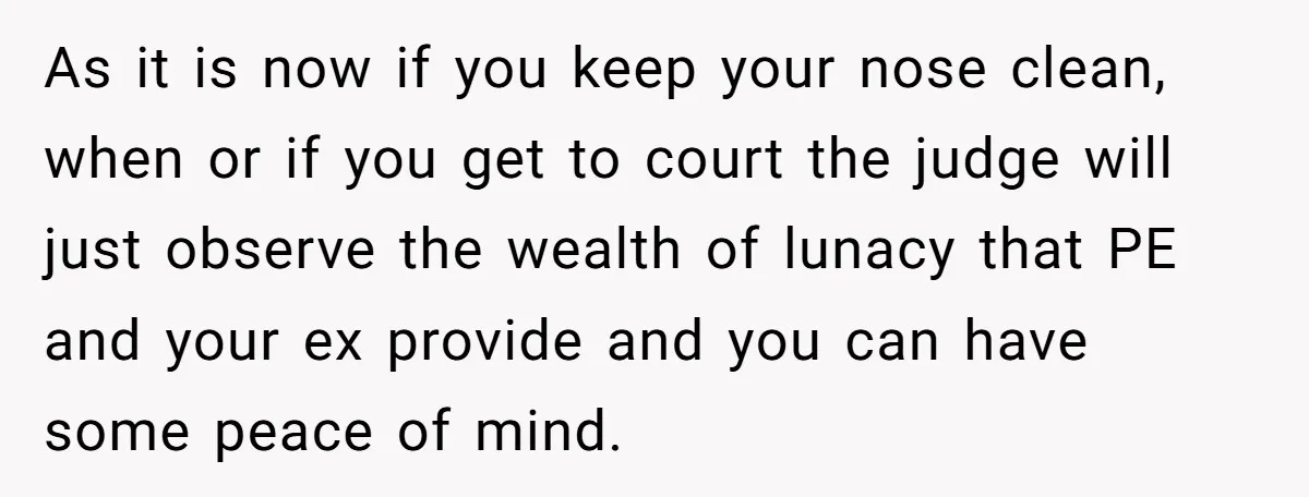 As it is now if you keep your nose clean, when or if you get to court the judge will just observe the wealth of lunacy that PE and your...