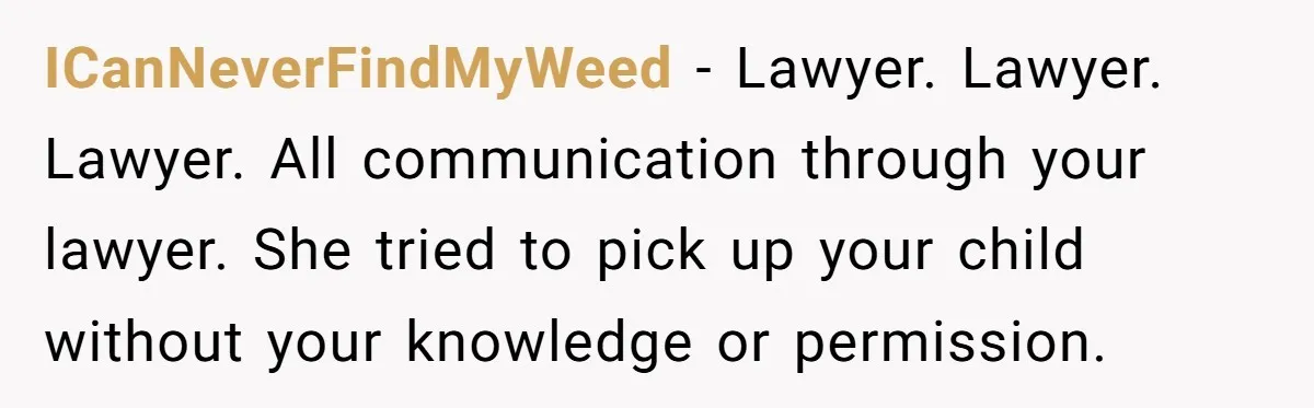 ICanNeverFindMyWeed − Lawyer. Lawyer. Lawyer. All communication through your lawyer. She tried to pick up your child without your knowledge or permission.
