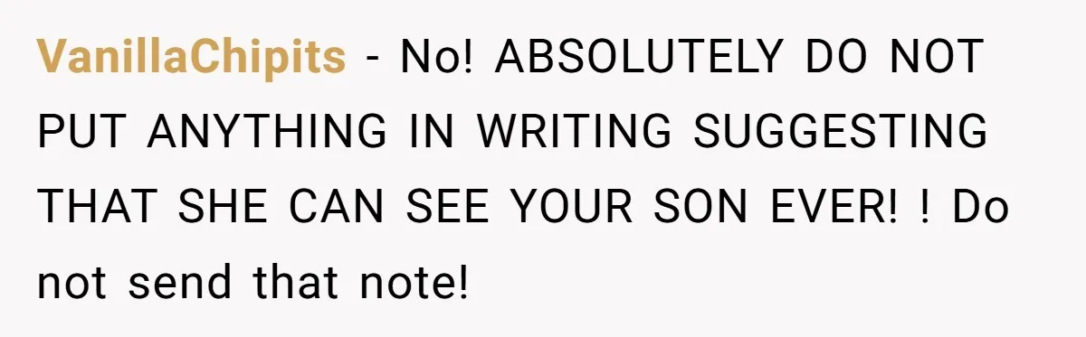 VanillaChipits − No! ABSOLUTELY DO NOT PUT ANYTHING IN WRITING SUGGESTING THAT SHE CAN SEE YOUR SON EVER! ! Do not send that note!