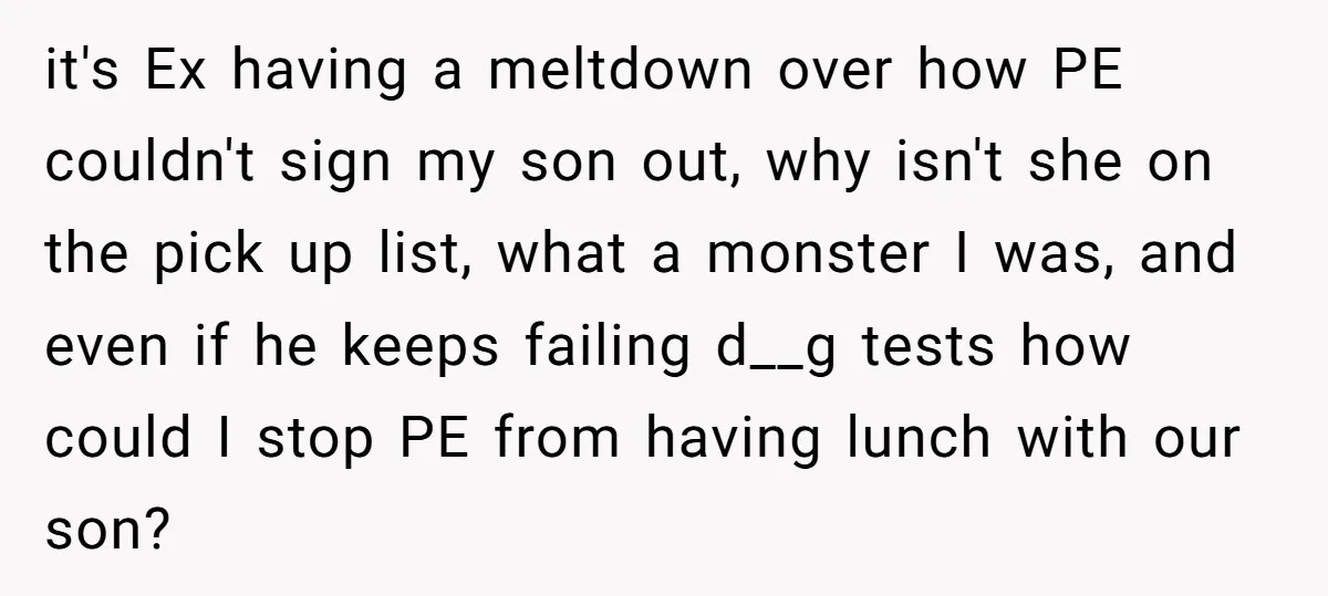 it's Ex having a meltdown over how PE couldn't sign my son out, why isn't she on the pick up list, what a monster I was, and even if he...