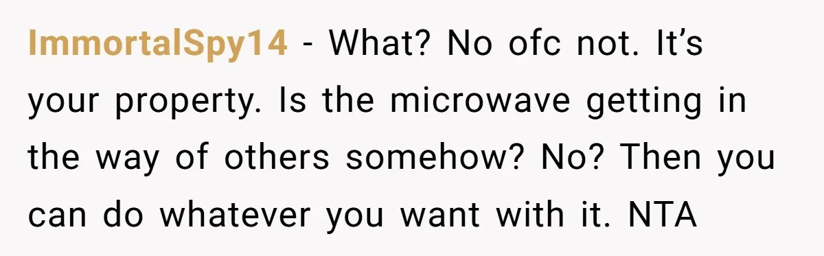 ImmortalSpy14 − What? No ofc not. It’s your property. Is the microwave getting in the way of others somehow? No? Then you can do whatever you want with it. NTA