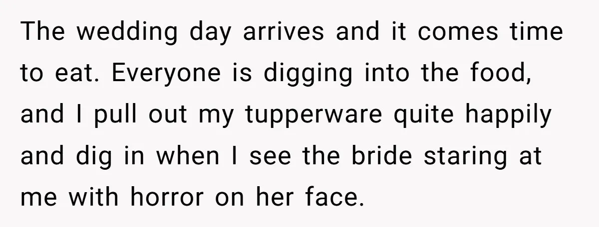 The wedding day arrives and it comes time to eat. Everyone is digging into the food, and I pull out my tupperware quite happily and dig in when I see...